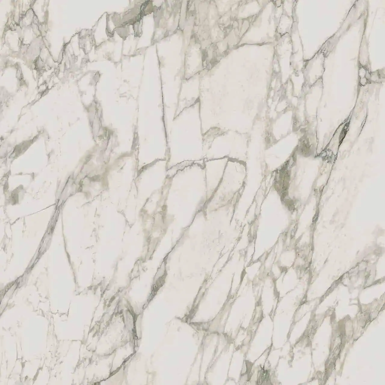 Arabescato Vagli Porcelain Slab