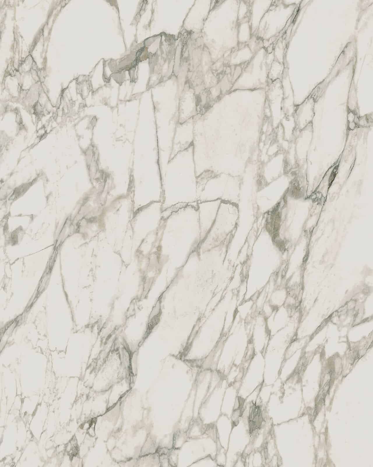 Arabescato Vagli Porcelain Slab