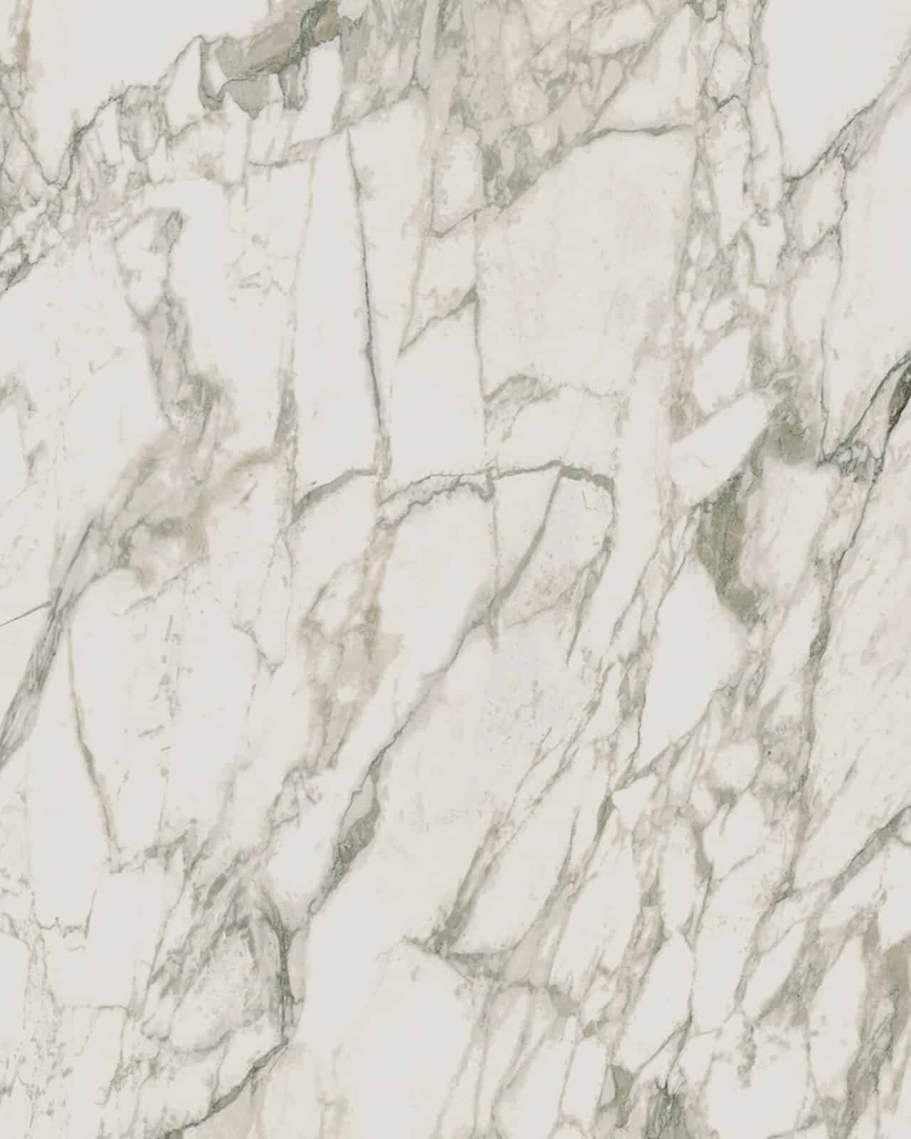 Arabescato Vagli Porcelain Swatch