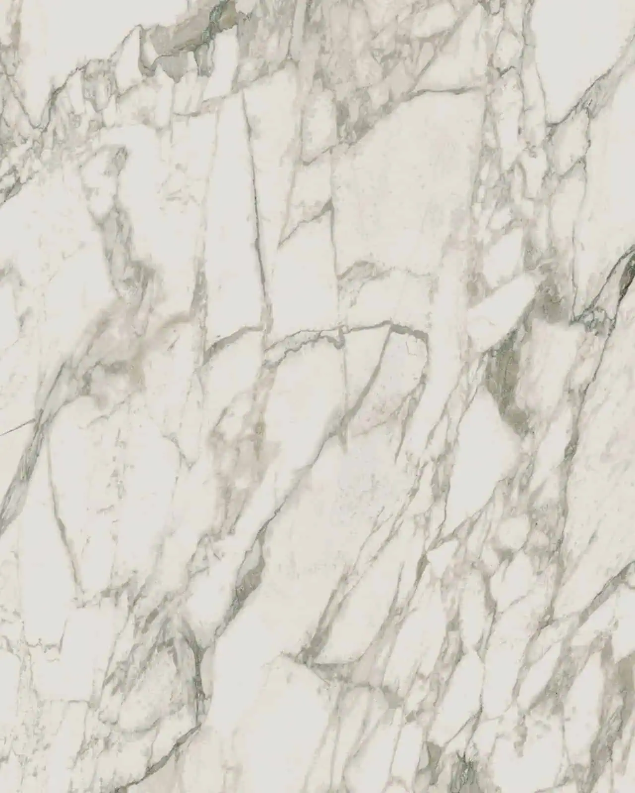 Arabescato Vagli Porcelain Swatch