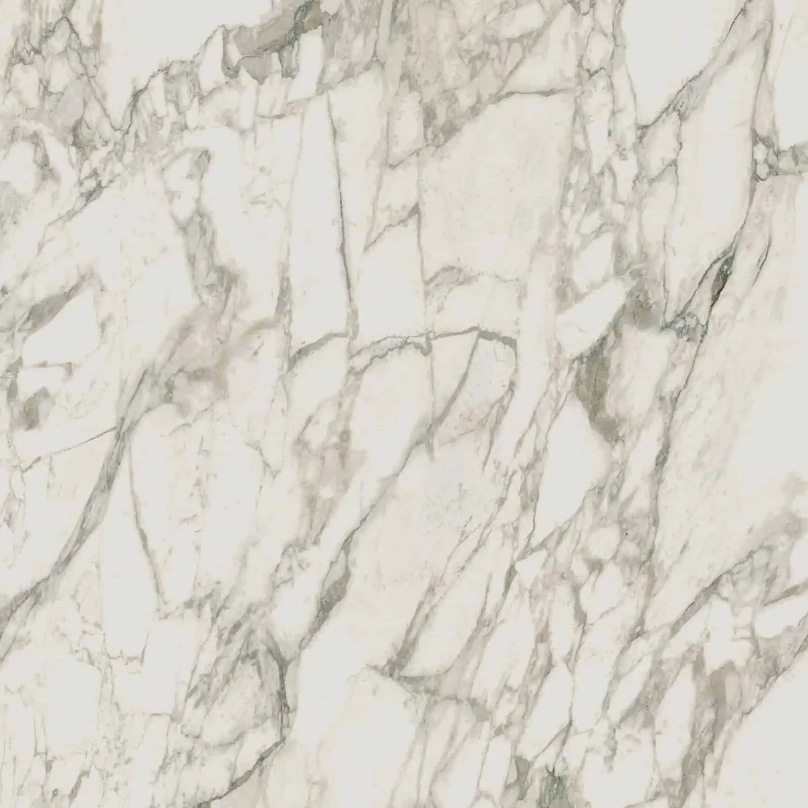 Arabescato Vagli Porcelain Swatch