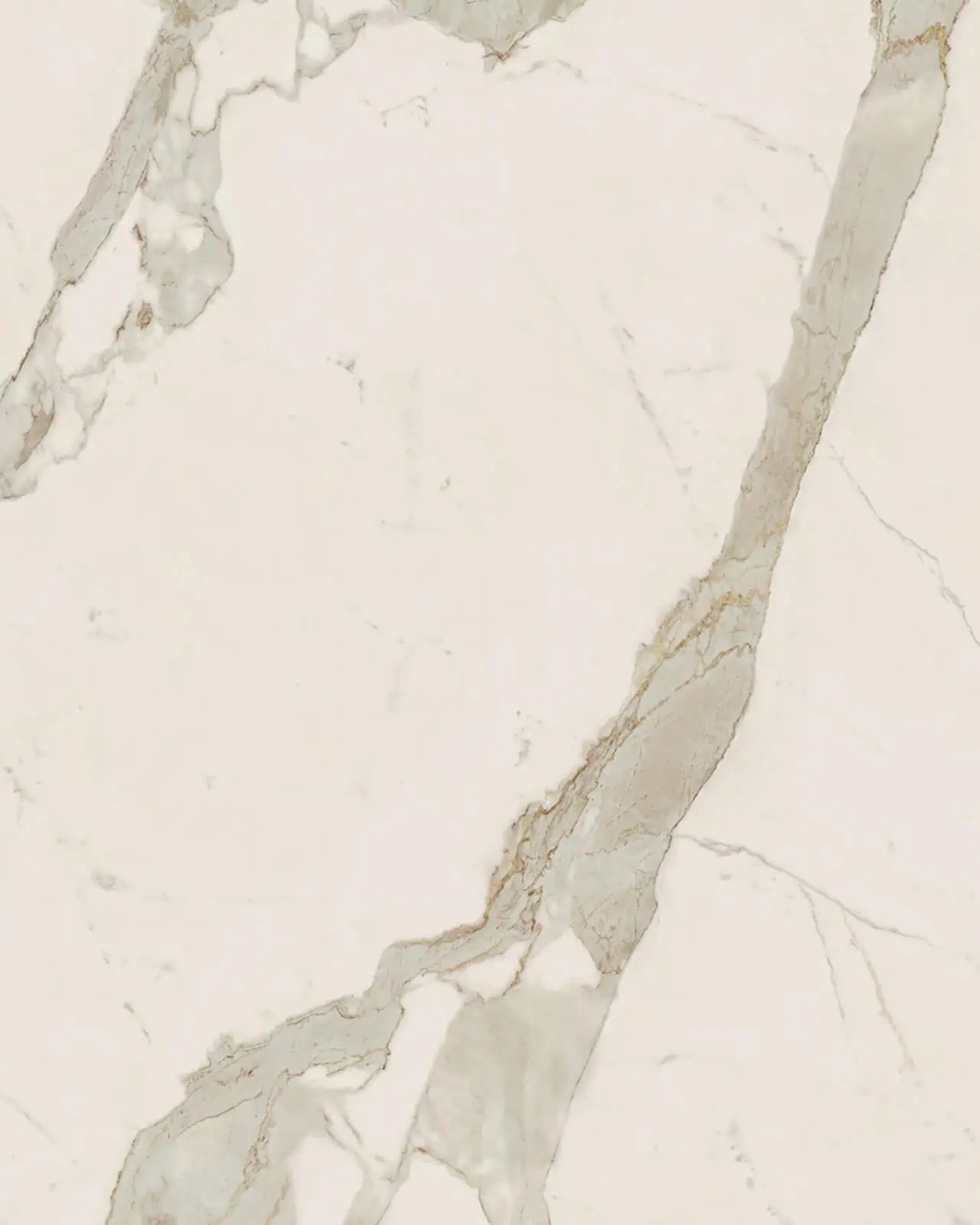Calacatta Gold Porcelain Swatch