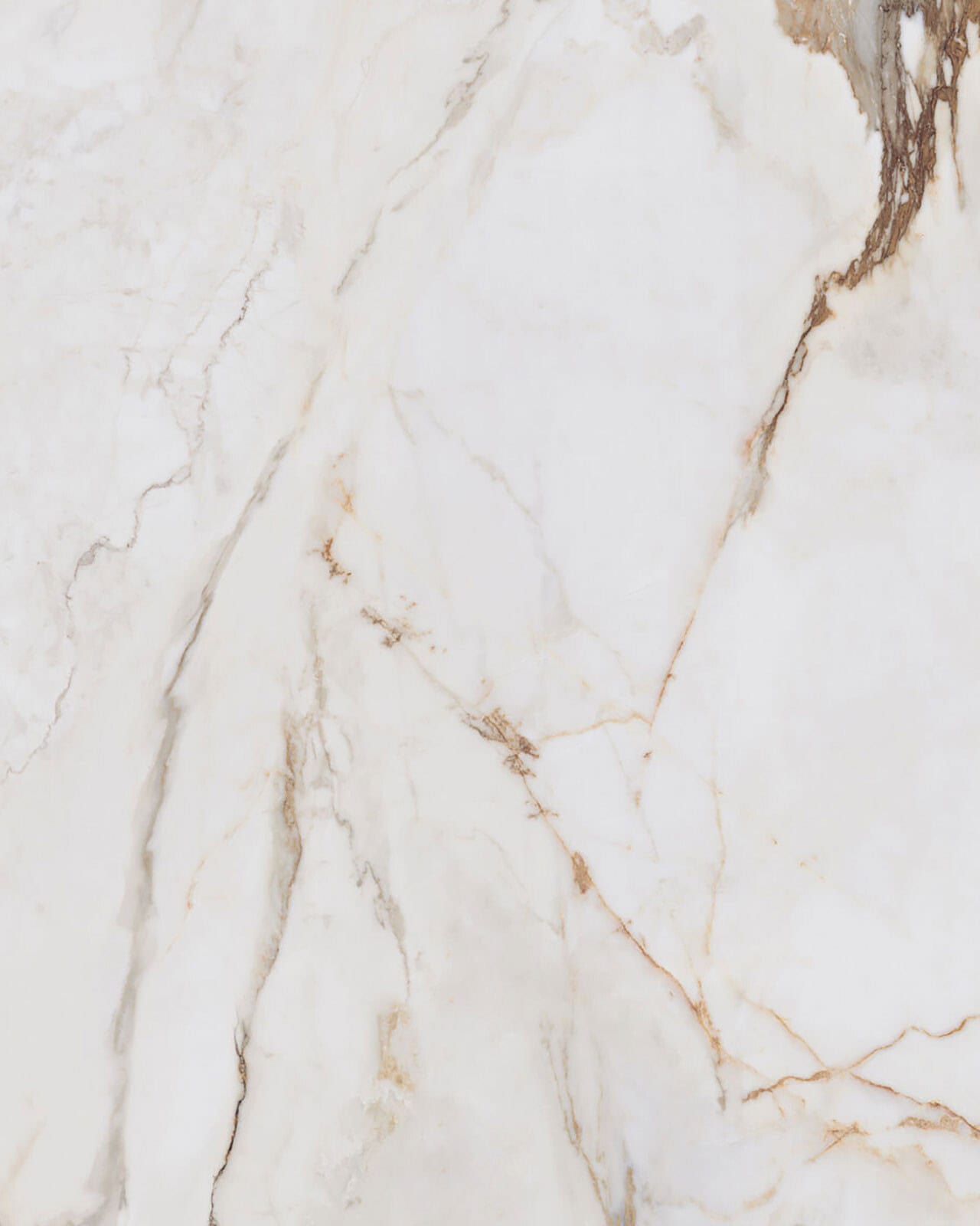Calacatta Machia Vecchia Porcelain Swatch
