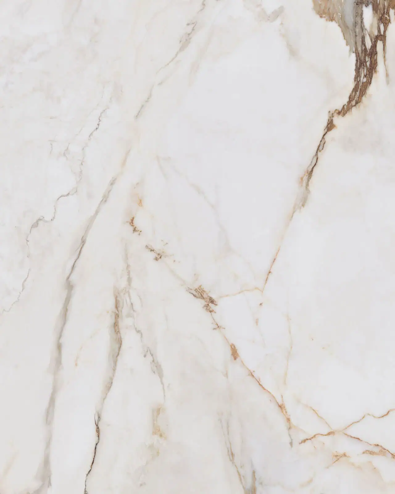 Calacatta Machia Vecchia Porcelain Swatch
