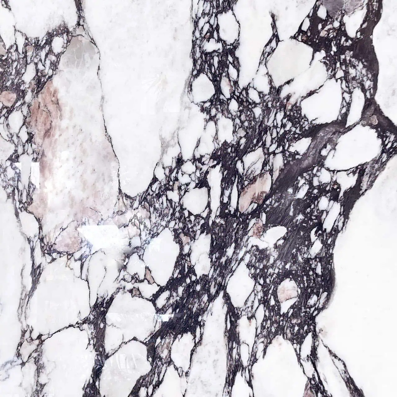 Calacatta Viola Porcelain Slab