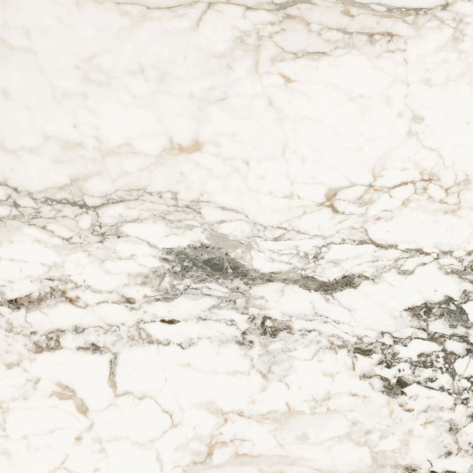Lux Breccia Fiore Porcelain Swatch